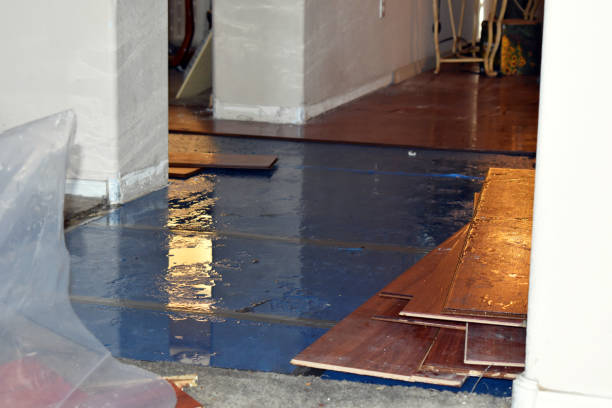 Professional Basement Flood Cleanup technician working in Pinckney, MI